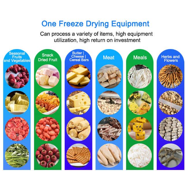 Ordinary Vertical Vacuum Freeze Dryer
